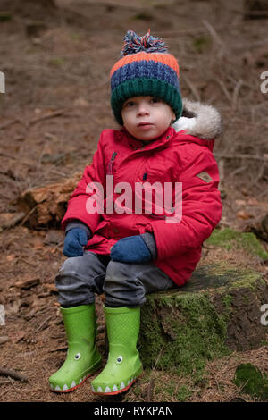 Zwei Jahre altes Kleinkind saß auf Baumstumpf im Wald im Herbst trägt einen roten Mantel, Gummistiefel und ein Bobble hat Stockfoto