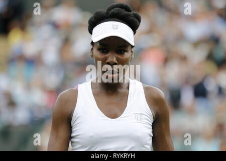 VENUS WILLIAMS, USA, die Wimbledon Championships 2017, 2017 Stockfoto