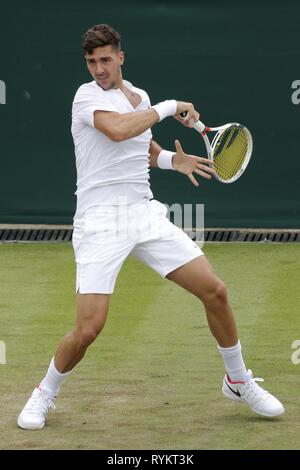 THANASI KOKKINAKIS, Australien, die Wimbledon Championships 2017, 2017 Stockfoto