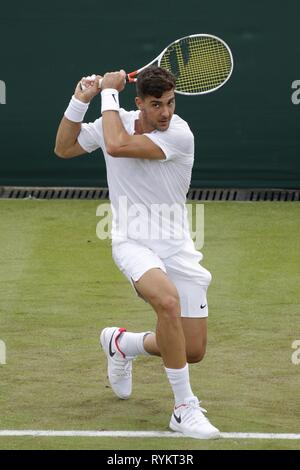 THANASI KOKKINAKIS, Australien, die Wimbledon Championships 2017, 2017 Stockfoto