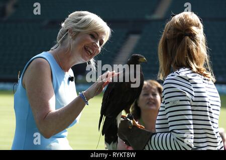 CAROL KIRKWOOD, Rufus, den WIMBLEDON HAWK TAUBEN SCARER, die Wimbledon Championships 2017, die Wimbledon Championships 2017, 2017 Stockfoto