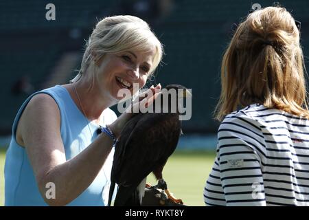 CAROL KIRKWOOD, Rufus, den WIMBLEDON HAWK TAUBEN SCARER, die Wimbledon Championships 2017, die Wimbledon Championships 2017, 2017 Stockfoto