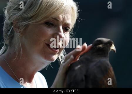 CAROL KIRKWOOD, Rufus, den WIMBLEDON HAWK TAUBEN SCARER, die Wimbledon Championships 2017, die Wimbledon Championships 2017, 2017 Stockfoto