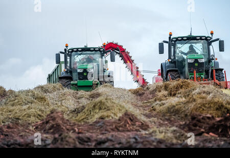 John Deere Traktoren Erntetechnik Karotten. Stockfoto