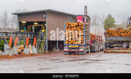 Ein Protokoll der Greifer erhalten Tonnen von Protokollen auf dem Boden, aus der diese Übertragung, die für den Lkw für die Lieferung Stockfoto