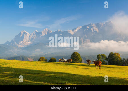 Auf einem Bauernhof in den hohen Bergen, Planai, Österreich Stockfoto