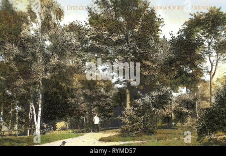 Garnisonslazarett Dresden, Gärten und Parks in Dresden, Hunde in Deutschland, 1906, Dresden, Garnisonslazarett, Park Stockfoto