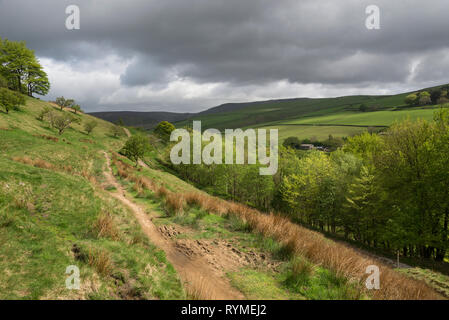 Fußweg in den Hügeln in der Nähe von Hayfield im Peak District, Derbyshire an einem sonnigen Frühlingstag. Stockfoto