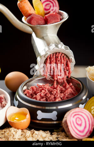 Wolfen eine Auswahl von rohem Fleisch für barf Heimtierfutter mit Innereien, Herz, Rindfleisch, Geflügel und Magen mit frischem Gemüse und Eigelb gemischt für eine gesunde Stockfoto