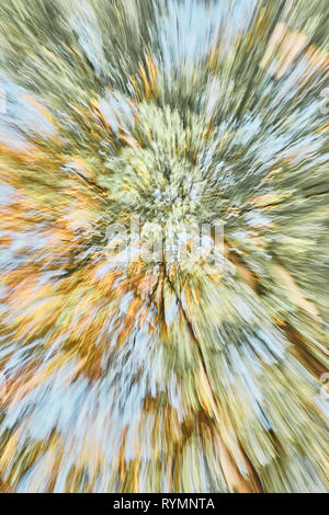 Zusammenfassung Hintergrund aus Bewegung verwischt Bäume, Farbe Tonen angewendet. Stockfoto
