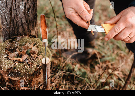 Eine Frau Gärtner schneidet einen Clip aus Holz für die Impfung mit einem scharfen Messer Stockfoto