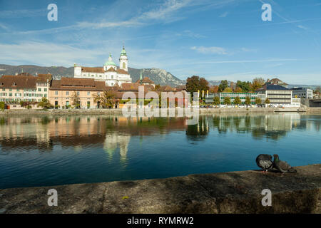 Herbstnachmittag in Solothurn, Schweiz. Stockfoto