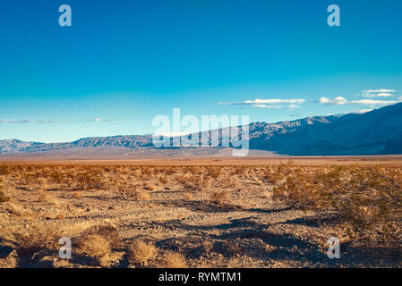 Golden Sand und Büschen unter hellen blauen Wüste Himmel. Stockfoto