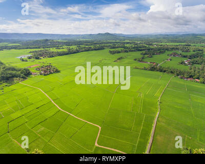 Super schöne Landschaft von Ciletuh Geopark. Teppich Reisfelder Stockfoto