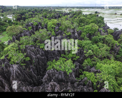 Cluster von der alten karst Rock in Rammang Rammang der Insel Sulawesi. Diese cluster war Heimat für alte Höhle Mann von Sulawesi. Stockfoto