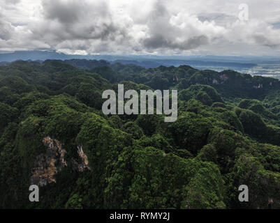 Cluster von der alten karst Rock in Rammang Rammang der Insel Sulawesi. Diese cluster war Heimat für alte Höhle Mann von Sulawesi. Stockfoto