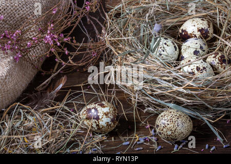 Ostern noch leben. Wachtel Eier im Nest und auf dem alten Holztisch in der Scheune unter Heu und getrocknete Blumen. Stockfoto