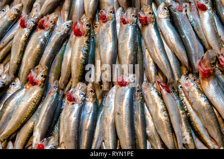 Europäische Sardelle in der Fischmarkt in der kemeraltı Bazaar, Izmir, Türkei Stockfoto