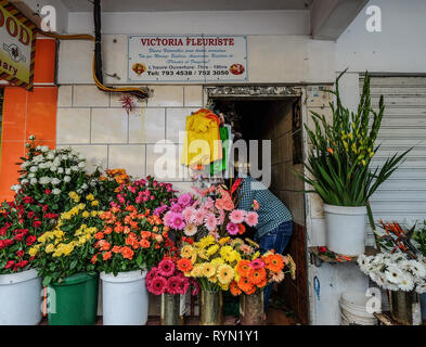 Port Louis, Mauritius - Jan 4, 2017. Flower Shop in Port Louis, Mauritius. Port Louis ist die Land wirtschaftliche, kulturelle und politische Zentrum. Stockfoto
