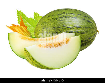 Grüne Melone auf weißem Hintergrund Stockfoto