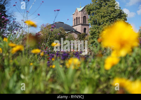 St. Stephen's Church in Karlsruhe mit Wiese und gelbe Blumen im Vordergrund Stockfoto