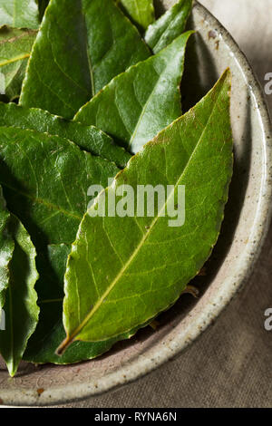 Raw Green Organic Lorbeerblätter bereit zu Kochen mit Stockfoto