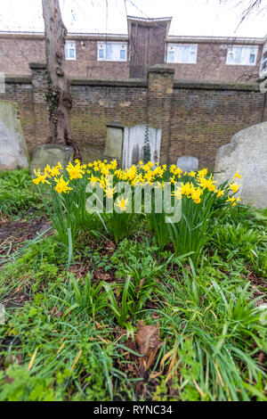 Brompton Friedhof. Im Jahre 1840 als kommerzielle Friedhof eröffnet wurde, gibt es nur sehr wenige Arme hier begraben. London. Großbritannien Stockfoto