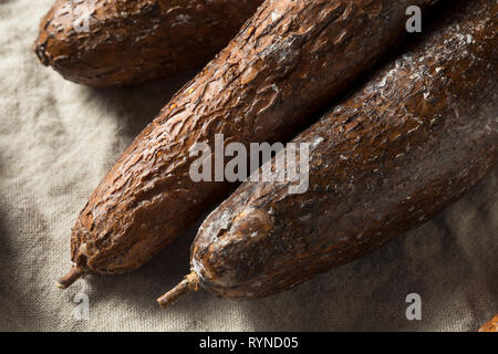 Raw Brown Organic Yucca Wurzel Einsatzbereit Stockfoto