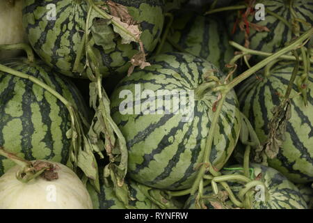 Leckeres frisches Obst hübsch präsentierte an der wetmarket Stockfoto