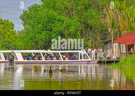 Tortuguero canal Wildlife Watching Tour in der Nähe von Limon, Costa Rica Stockfoto