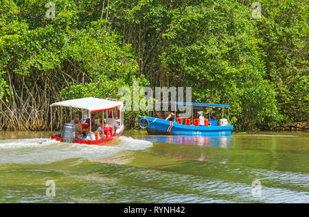Tortuguero Kanal Natur- und Wildtierbeobachtungstouren in der Nähe von Puerto Limon, Costa Rica Stockfoto