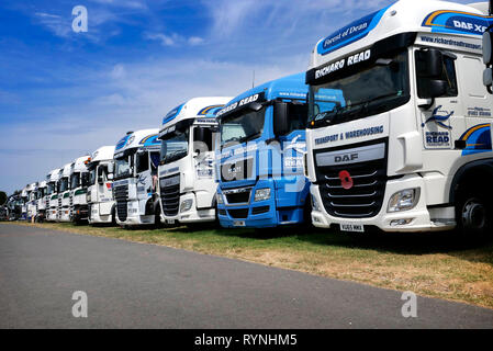 Truckfest South West Truck 2018 zeigen, an der drei Grafschaften Showground, in Malvern, Worcestershire, England, UK. Beachten Sie, dass Richard lesen Ltd geschlossen in 2019. Stockfoto