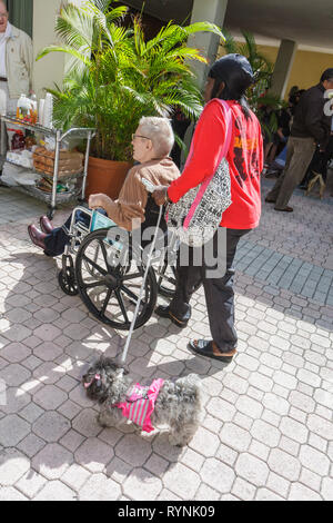 Miami Florida, Temple Israel, Bow Wow Palooza Interfaith Segen der Tiere, Besitzer, Hunde, Haustiere, Tier, Leine, Blei, Schwarze Afrikaner Stockfoto