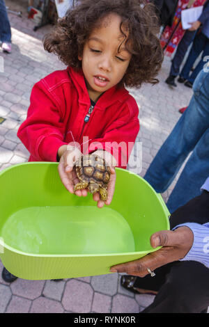 Miami Florida, Temple Israel, Bow Wow Palooza Interfaith Segnung der Tiere, Besitzer, Schildkröte, Haustier, Tier, Schwarzes Kind, Junge Jungen, männliches Kind Kinder Kind Stockfoto