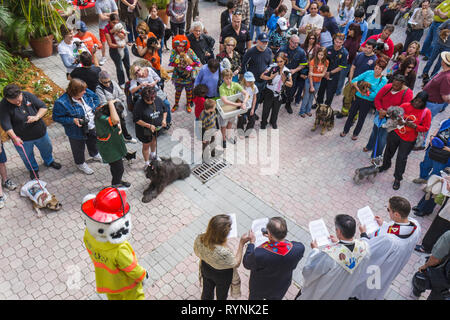 Miami Florida, Temple Israel, Bow Wow Palooza Interfaith Segnung der Tiere, Gemeinschaft Besitzer, Haustier, Hund, Tier, Klerus, Religion, Hof, Mann Männer männlich, w Stockfoto