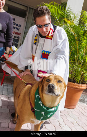 Miami Florida, Temple Israel, Bow Wow Palooza Interfaith Segnung der Tiere, Haustier, Hund, Retriever, Klerus, Reverend Dr. James Reho, Episcopal Priest, Relig Stockfoto