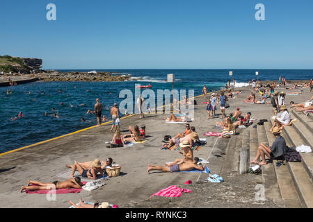 Clovelly, Sydney, NSW, Australien Stockfoto