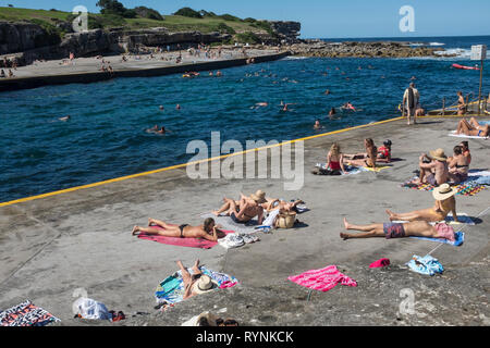 Clovelly, Sydney, NSW, Australien Stockfoto