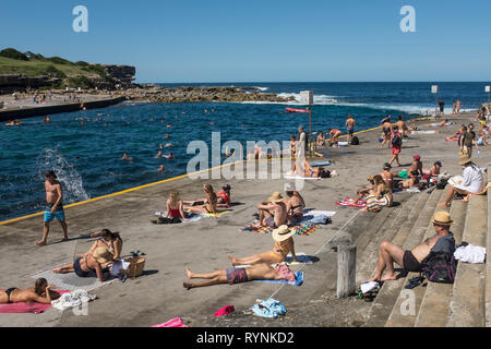 Clovelly, Sydney, NSW, Australien Stockfoto