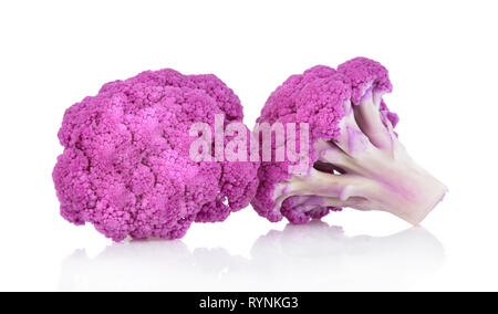 Lila Brassica oleracea auf weißem Hintergrund Stockfoto