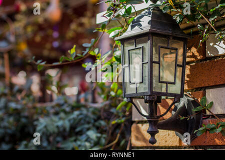 Wandlaterne im Garten in Istanbull Stockfoto