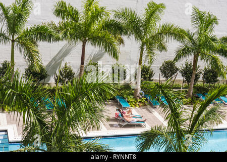 Miami Florida, Innenstadt, städtisches Leben, Pool, Liegestuhl, Palmen, Erwachsene Erwachsene Erwachsene Männer Männer, Frau Frauen weibliche Dame, Paar, Sonnenbaden, Freizeit, Palmen Stockfoto