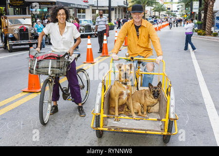 Miami Florida, Flagler Street, Fahrrad Miami Days, Gemeinschaft Frau weibliche Frauen, Mann Männer männlich, Hund, Haustier, Fahrrad, Radfahren, Reiten, Radfahren, Fahrer, Wagen, Korb, Troll Stockfoto