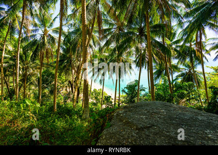 Atemberaubende Aussicht auf einer paradiesischen Strand durch eine reiche und grüne Vegetation aus Palmen gesehen. Phuket, Thailand. Stockfoto