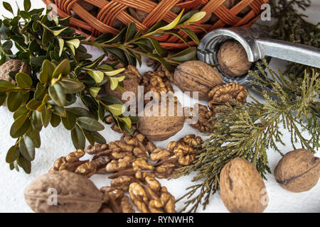 Ganze Walnüsse Reife und geschält Walnusskerne auf einem weißen Hintergrund. Stockfoto