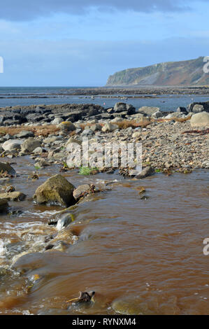 Kildonan Strand und Dichtungen Sonnenbaden auf den Felsen, Isle of Arran Stockfoto