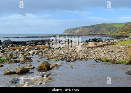 Kildonan Strand und Dichtungen Sonnenbaden auf den Felsen, Isle of Arran Stockfoto