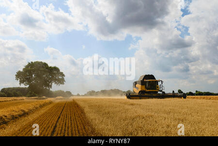 Moderne Maschinen Ernten ein Feld von Hafer auf einem hellen sonnigen Morgen im Sommer am 10. August 2018 in Beverley, Yorkshire, Großbritannien. Stockfoto