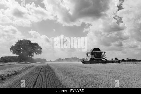 Moderne Maschinen Ernten ein Feld von Hafer auf einem hellen sonnigen Morgen im Sommer am 10. August 2018 in Beverley, Yorkshire, Großbritannien. Stockfoto