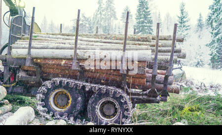 Anmelden Wrestler immer Stücke von Logs vom Lkw auf einem Regen Schnee Winter Stockfoto